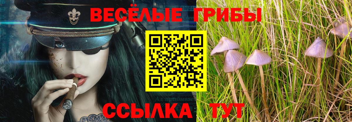 Галлюциногенные грибы ЛСД  Вход с VPN  Галлюциногенные грибы GOLDEN TEACHER  Курчалой 
