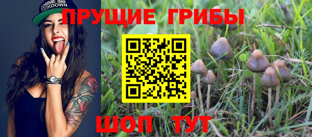 Псилоцибиновые грибы мухоморы Курчалой