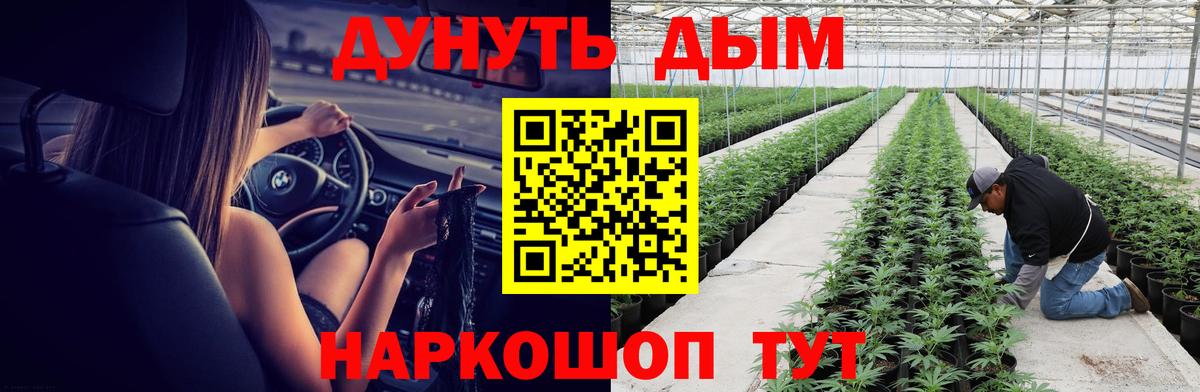 Канабис конопля  Вход с VPN  Курчалой  МАРИХУАНА ГИДРОПОН  Канабис OG Kush 